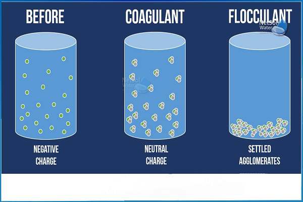 What Is Flocclay